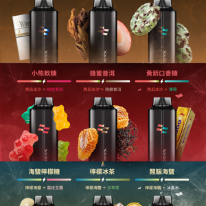 4 新品💥 WAGOO哇酷拋棄式6500口 by KIS5 磁吸組合 自由混搭 限時活動/滿十送一